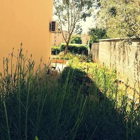 Stoja